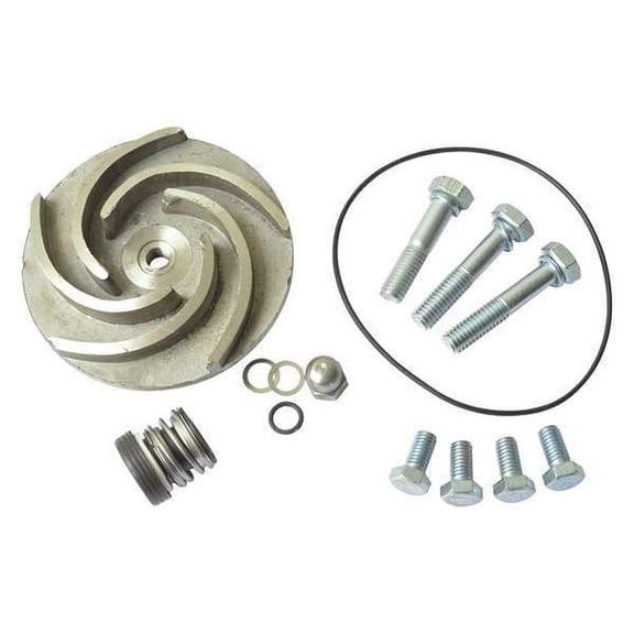 Dayton Pump Repair Kit,For 2ZWX1,2ZWX2 21TG73
