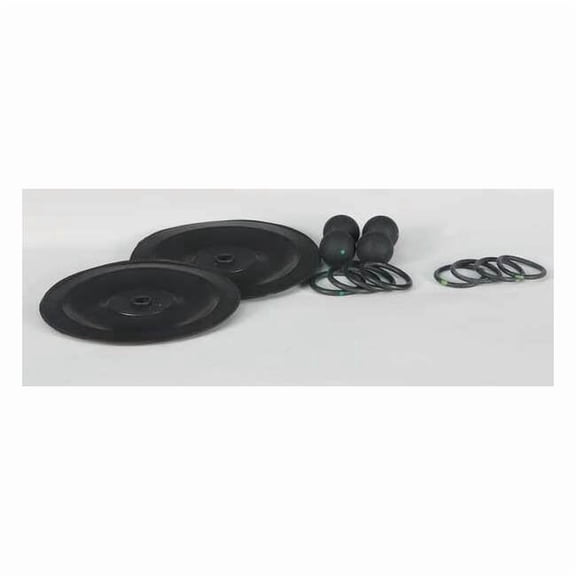 Pump Repair Kit,Santoprene,Fluid,1/2 In 22A611