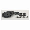 thumbnail image 1 of Dayton Pump Repair Kit,Fluid,1 In.,For 3HJX1 22A614, 1 of 2