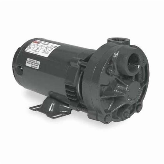 Pump,Turbine,2 HP 4UP58