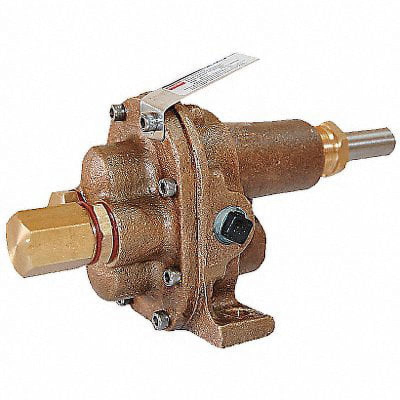 Dayton Rotary Gear Pump Head, 1/2 In., 1/3 HP 4KHJ1