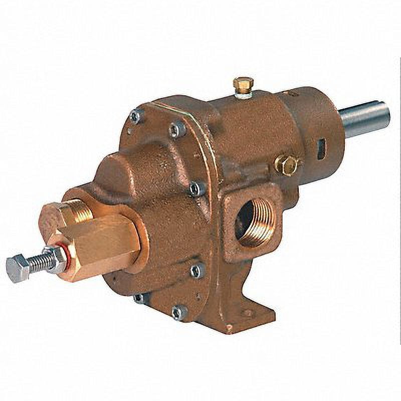 Dayton Rotary Gear Pump Head, 3/4 In., 3/4 HP 4KHF5