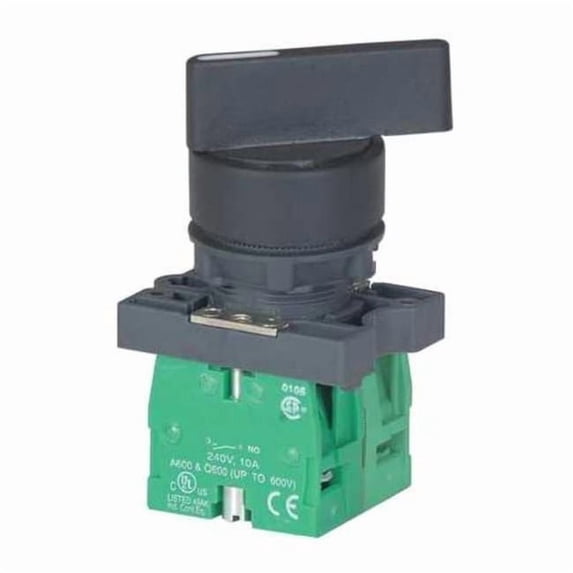 Dayton Non-Illum Selector Switch,2NO,22mm,Silvr 30G274
