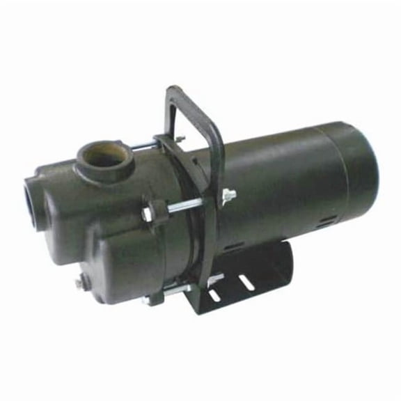 Dayton Self Priming Pump,1-1/2 HP,Cast Iron 4YKP9