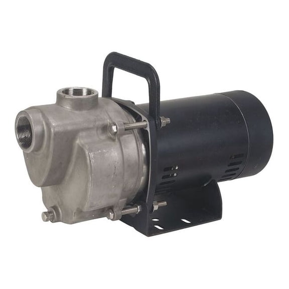 Dayton Self Priming Pump,1/3 HP,304 SS 6GPG3