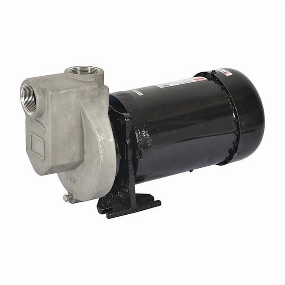 Dayton Self Priming Pump,1 HP,316 SS 2ZXT2