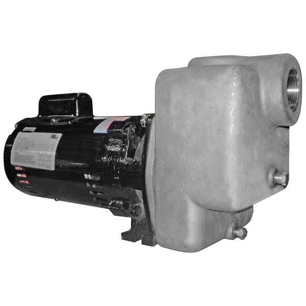Dayton Self Priming Pump,1 HP,316 SS 5GUP2