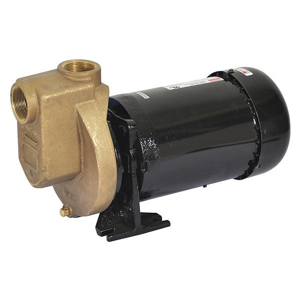 Dayton Self Priming Pump,1 HP,Bronze 2ZXR3
