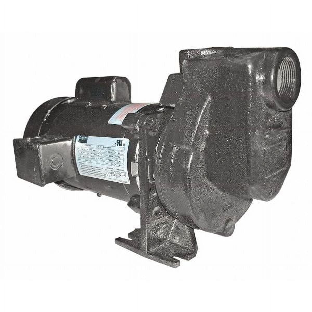 Dayton Self Priming Pump,1 HP,Cast Iron 2ZXP3