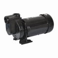 thumbnail image 1 of Dayton Self Priming Pump,1 HP,Cast Iron 2ZXP4, 1 of 1