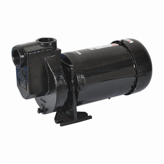 Dayton Self Priming Pump,1 HP,Cast Iron 2ZXP4