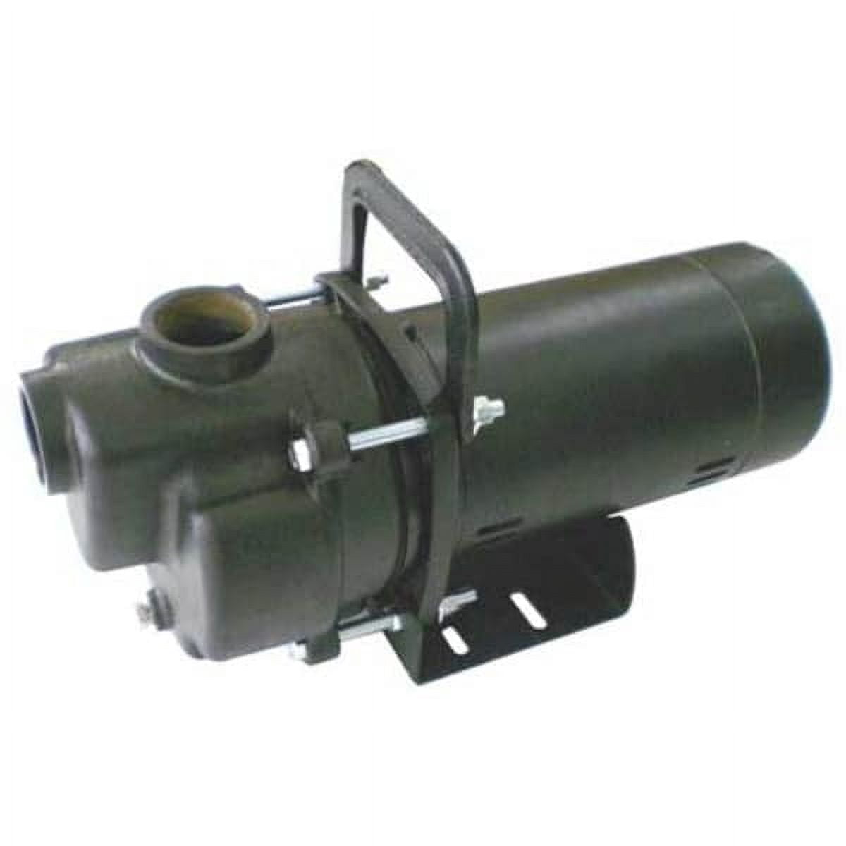 Dayton Self Priming Pump,1 HP,Cast Iron 4YKP8
