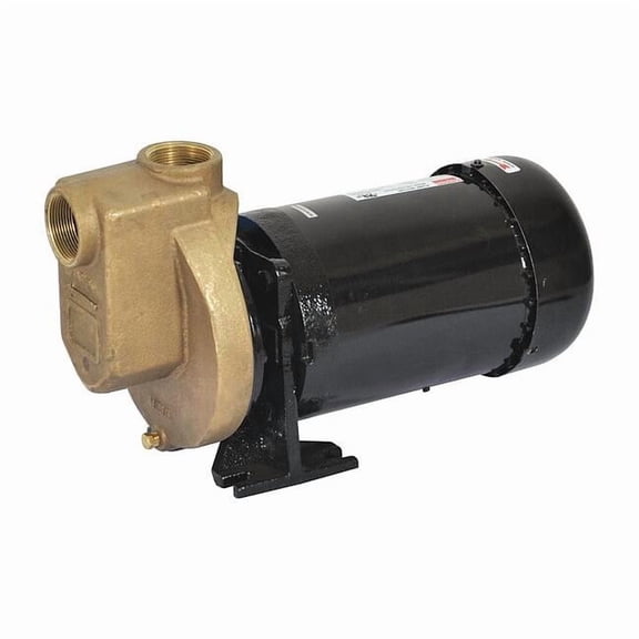 Dayton Self Priming Pump,2 HP,Bronze 2ZXR7