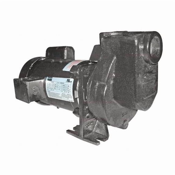 Dayton Self Priming Pump,3/4 HP,Cast Iron 2ZXP1