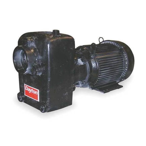 Dayton Self Priming Pump,5 HP,Cast Iron 12N812