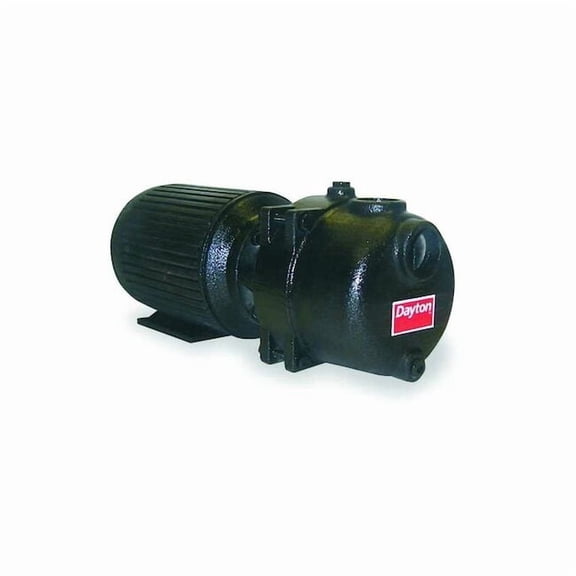 Sewage/Trash Pump,5 HP 12N806