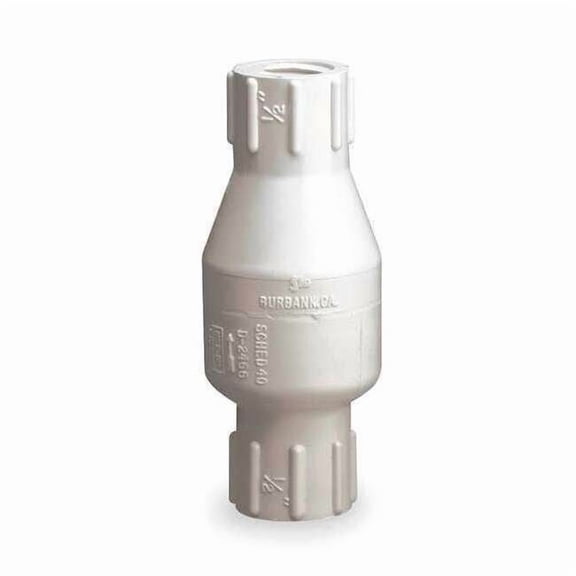 Dayton 1/2" FNPT PVC Spring Check Valve 4RG64