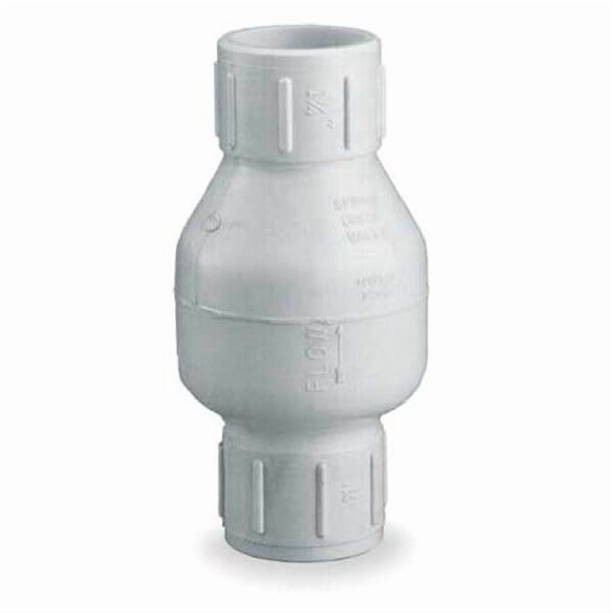 Pvc Spring Check Valve Dayton 3/4