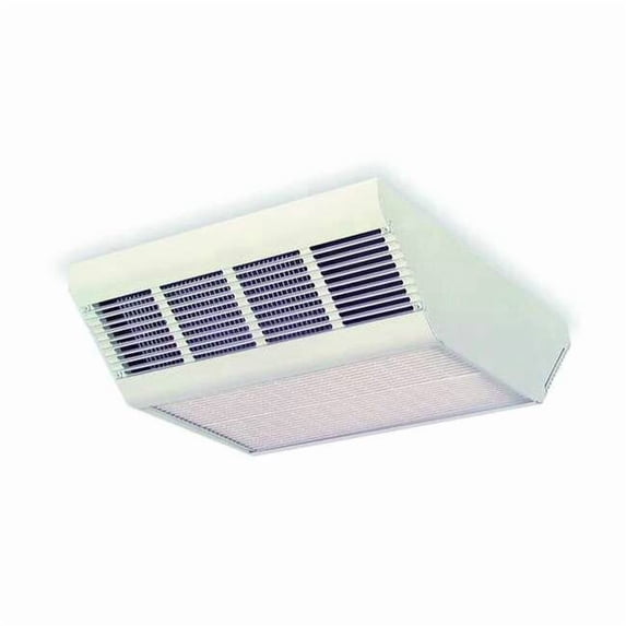 Dayton Convection Ceiling Heater,208V,17,100Btu 2YU44