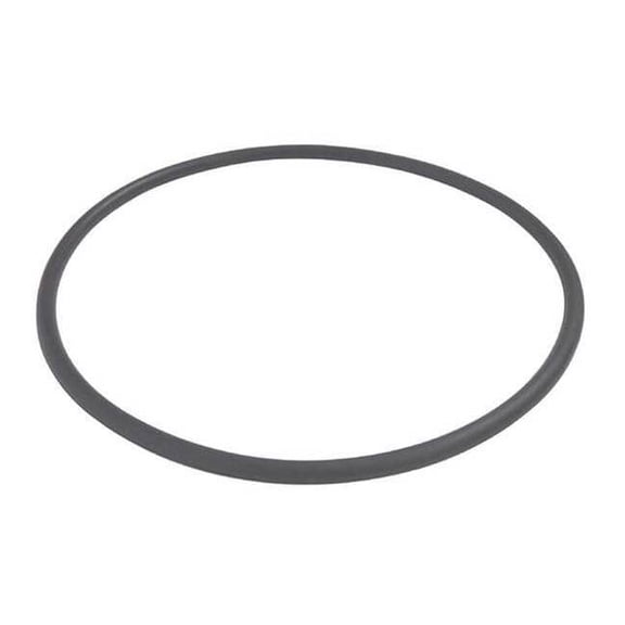 Dayton Trap O-Ring PP21102000001G