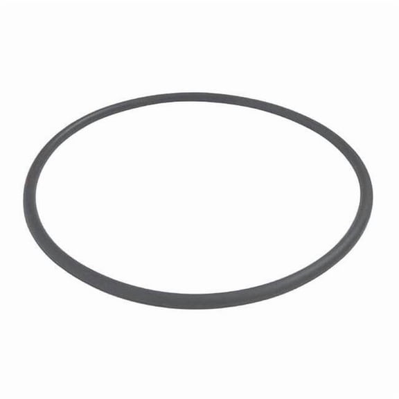 Dayton Trap O-Ring PP21102000001G