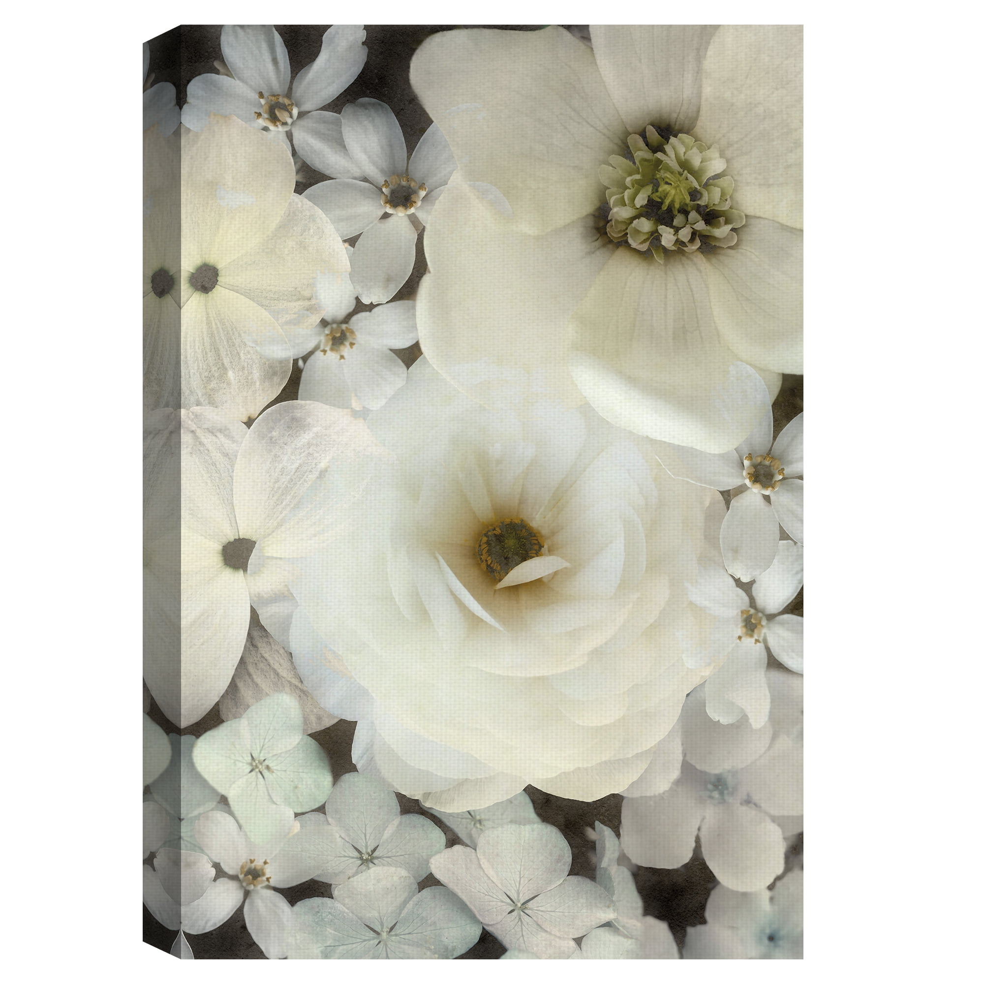 Dazed Delight by Collezione Botanica Floral Photograph Canvas Art