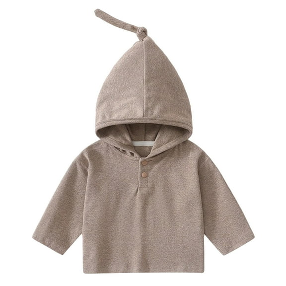 Daznico Boys Hooded Sweatshirt Baby Pullover Soft Comfortable Kids Top Toddler Casual Outfit Autumn Spring Clothing,9-12 Months