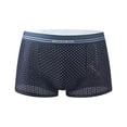 thumbnail image 1 of Daznico Men's Underwear Mesh Breathable Ice Silk Briefs for Everyday Comfort and Lightweight Support,Mens Underwear,XL, 1 of 8