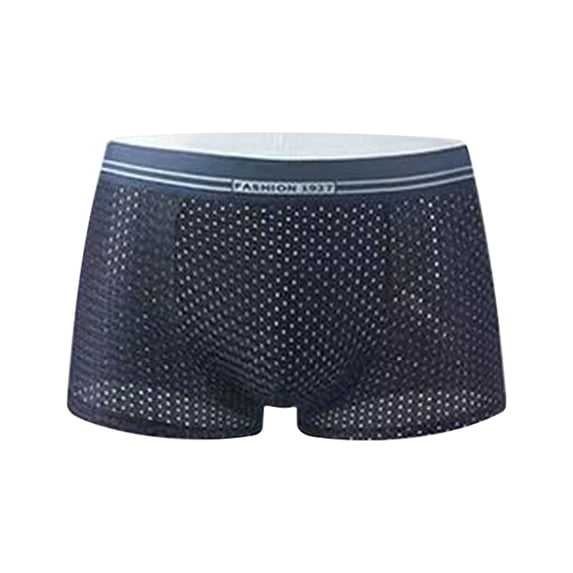 Daznico Men's Underwear Mesh Breathable Ice Silk Briefs for Everyday Comfort and Lightweight Support,Mens Underwear,XL