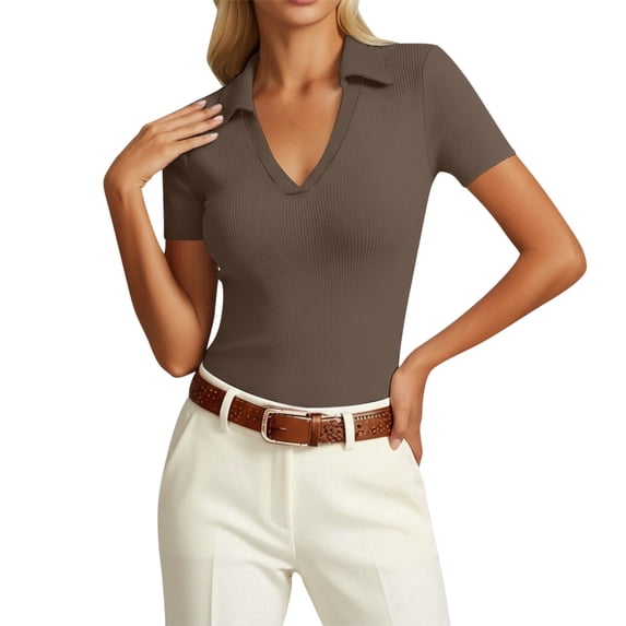 Daznico Women's Collared V Neck Ribbed Knit Polo Shirt Short Sleeve Casual Fitted Solid Tops,L