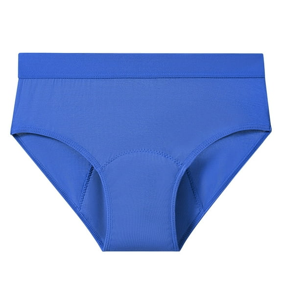 Daznico Womens Underwear - Women's Plus Size Solid Color Multilayer Absorbent Underwear Breathable Leakproof Menstrual Panties - Panties for Women,Color:Blue,Size:6XL