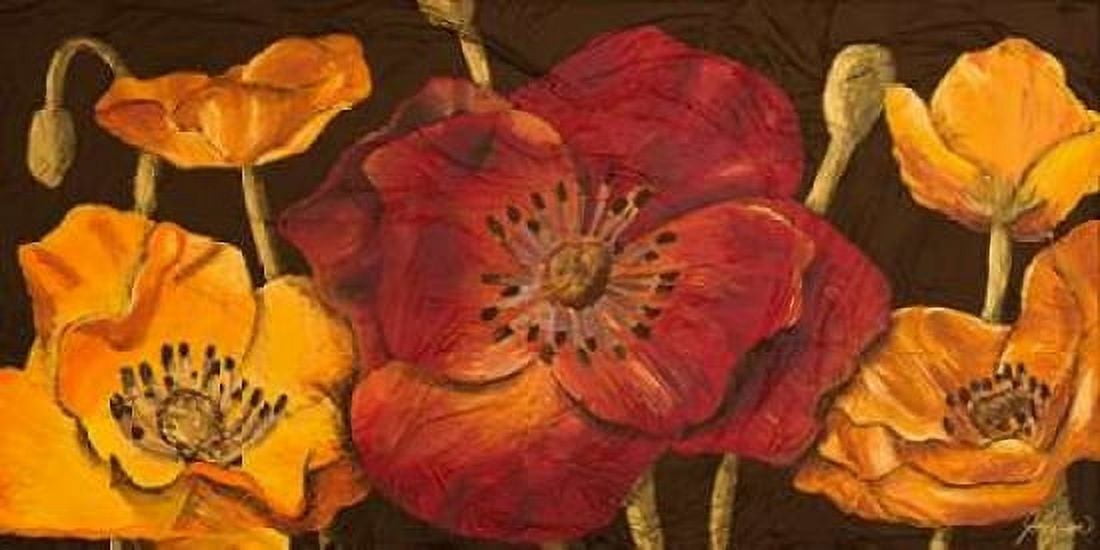 Dazzling Poppies I Canvas Art - Josefina (10 x 20)