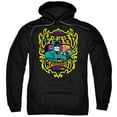 thumbnail image 1 of Dc - Appearing Tonight - Pull-Over Hoodie - Small, 1 of 2