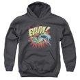 thumbnail image 1 of Dc - Bam - Youth Hooded Sweatshirt - Medium, 1 of 2