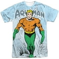 thumbnail image 1 of DC Comics Classic Friendly Aquaman And Logo Adult Front Print T-Shirt, 1 of 2