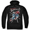 thumbnail image 1 of Dc-Cover Me - Adult Pull-Over Hoodie - Black- Large, 1 of 1