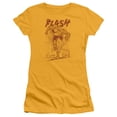 thumbnail image 1 of Dc Flash - Busting Out - Juniors Teen Girls Cap Sleeve Shirt - Small, 1 of 2