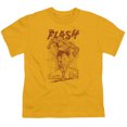 thumbnail image 1 of Dc Flash - Busting Out - Youth Short Sleeve Shirt - Medium, 1 of 2