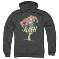 thumbnail image 1 of Dc Flash - Desaturated Flash - Pull-Over Hoodie - XXX-Large, 1 of 2