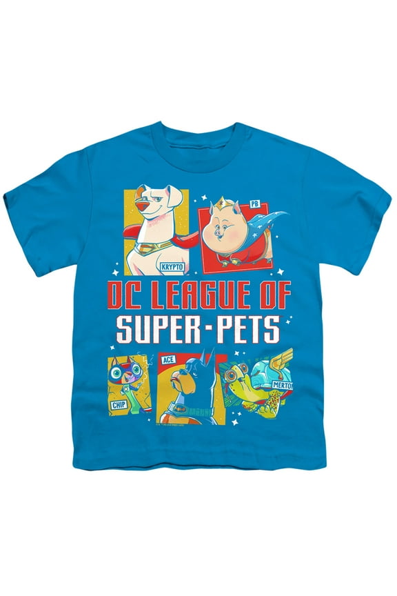 Dc League Of Super Pets Illustrated Pet Group Kids T Shirt (Small) for Youth Toddler Boys and Girls, Turquoise