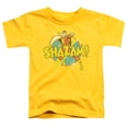 thumbnail image 1 of Dc Power Bolt Little Boys Toddler Shirt, 1 of 2