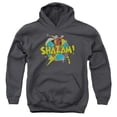 thumbnail image 1 of Dc - Power Bolt - Youth Hooded Sweatshirt - Medium, 1 of 2