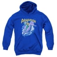 thumbnail image 1 of Dc - Ride Free - Youth Hooded Sweatshirt - Small, 1 of 2
