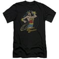 thumbnail image 1 of Dc - Spinning - Premium Slim Fit Short Sleeve Shirt - Small, 1 of 2