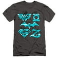 thumbnail image 1 of Dc Superhero Girls/Line Art Group S/S Adult 30/1 T-Shirt Charcoal, 1 of 1