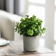 thumbnail image 1 of DcGZvy Artificial Plants Fake Plants Cute Faux Plants Indoor Spring Office Decor for Women Trendy Table Decor Home Decor Women Savings, 1 of 6