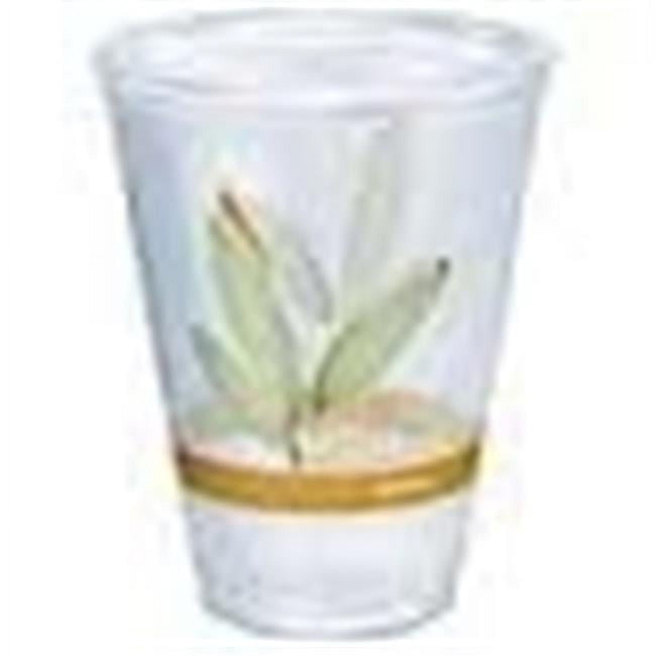 Dcc RTP10DBARE Bare Eco-Forward 10 oz. RPET Tall Cold Cup