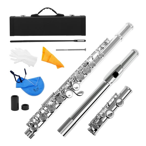 Dcenta 16 Keys Closed Hole Flute with Cleaning Kit, Carrying Case, & Screwdriver, White copper