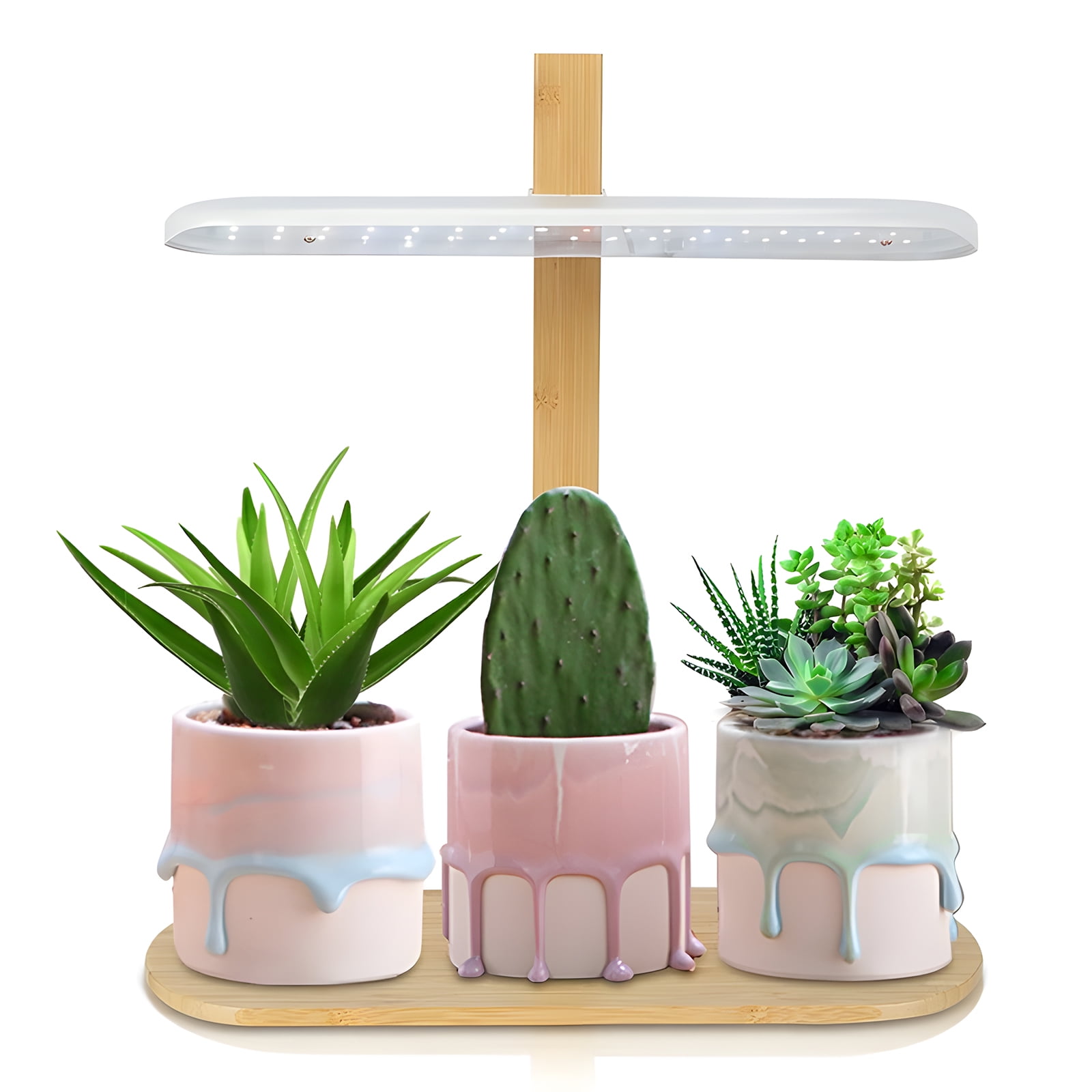 Dcenta Full Spectrum Grow Light 10W Height Adjustable Tabletop Plant