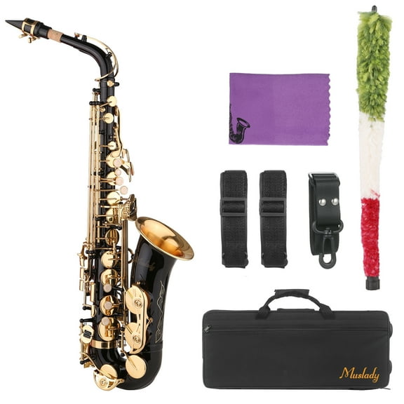 Dcenta Saxophone Black Paint E-flat Sax for Beginner Student Intermediate Player Brass Eb Alto Saxophone with Mouthpiece Carrying Case Cleaning Cloth Brush Sax Straps